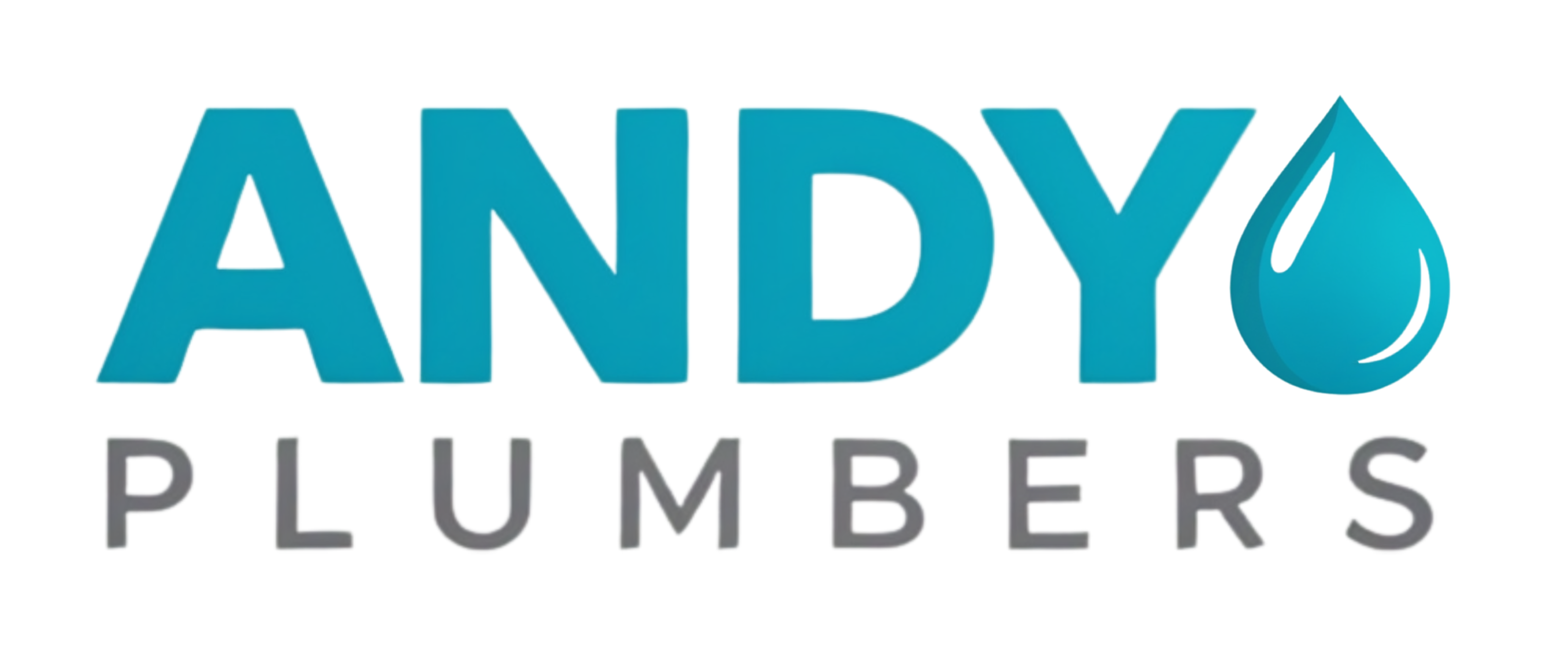 Andy Plumbers Logo